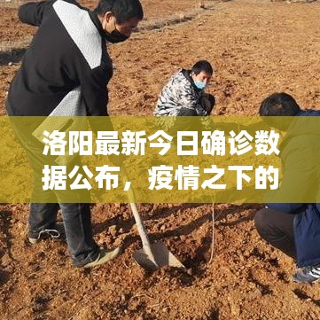 洛阳最新今日确诊数据公布，疫情之下的城市防控动态