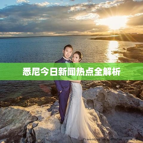 悉尼今日新闻热点全解析