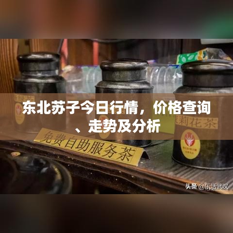 东北苏子今日行情，价格查询、走势及分析