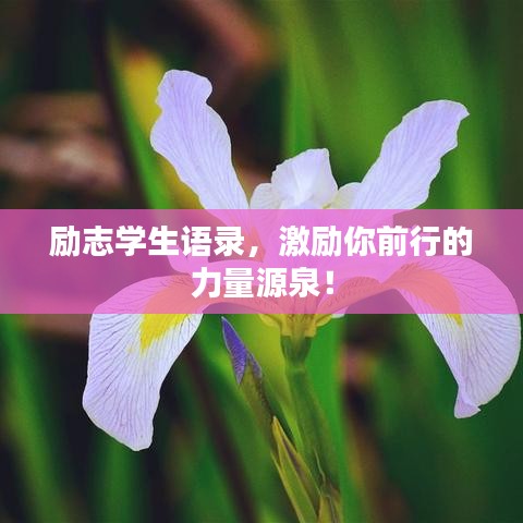 励志学生语录，激励你前行的力量源泉！