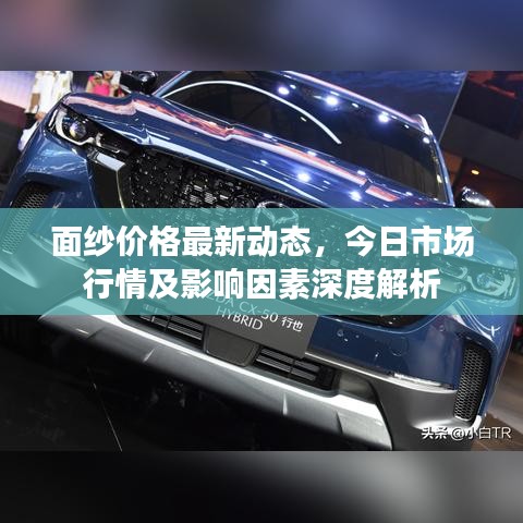 面纱价格最新动态，今日市场行情及影响因素深度解析