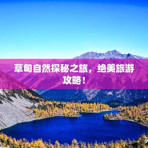 草甸自然探秘之旅，绝美旅游攻略！