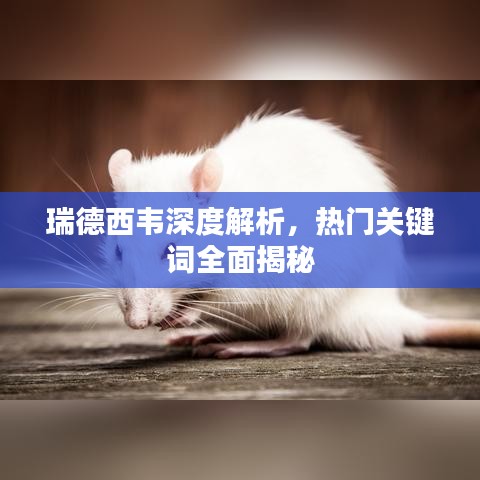 瑞德西韦深度解析，热门关键词全面揭秘
