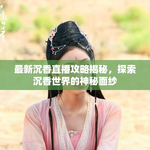 最新沉香直播攻略揭秘，探索沉香世界的神秘面纱