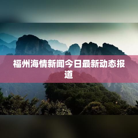 福州海情新闻今日最新动态报道