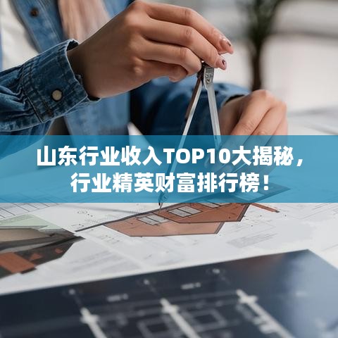 山东行业收入TOP10大揭秘，行业精英财富排行榜！