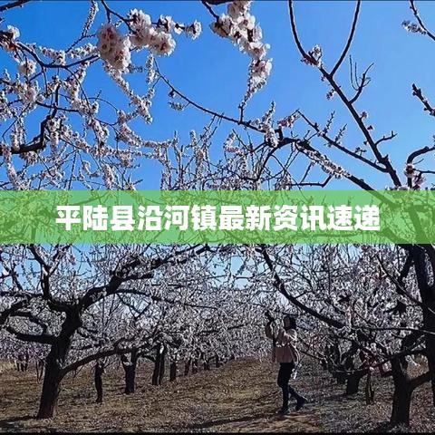 平陆县沿河镇最新资讯速递