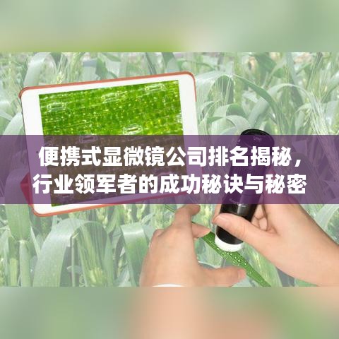 便携式显微镜公司排名揭秘，行业领军者的成功秘诀与秘密！