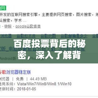 百度投票背后的秘密，深入了解背后的力量与决策意义