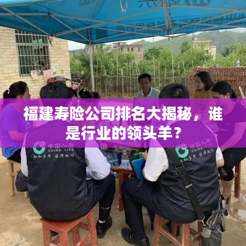 福建寿险公司排名大揭秘，谁是行业的领头羊？