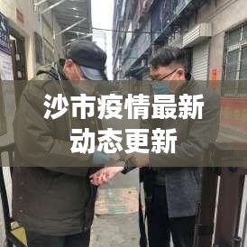 沙市疫情最新动态更新