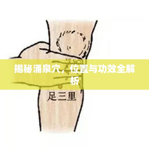 揭秘涌泉穴，位置与功效全解析