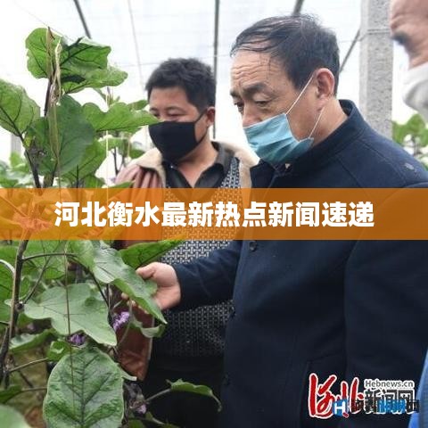 河北衡水最新热点新闻速递