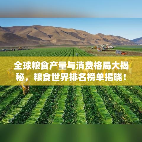 全球粮食产量与消费格局大揭秘，粮食世界排名榜单揭晓！