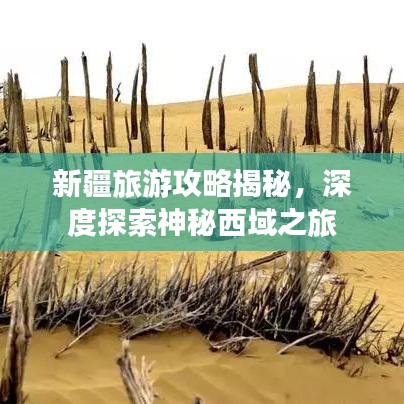 新疆旅游攻略揭秘，深度探索神秘西域之旅