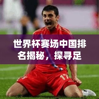 世界杯赛场中国排名揭秘，探寻足球崛起之路