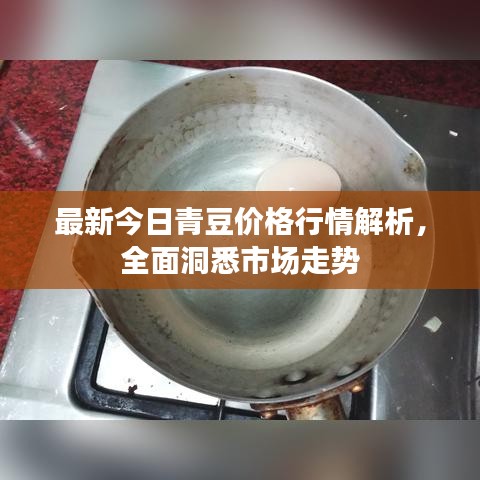 最新今日青豆价格行情解析，全面洞悉市场走势