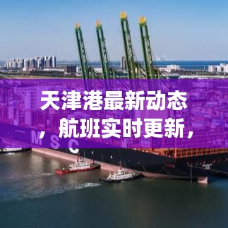 天津港最新动态，航班实时更新，港口运营进展顺利！