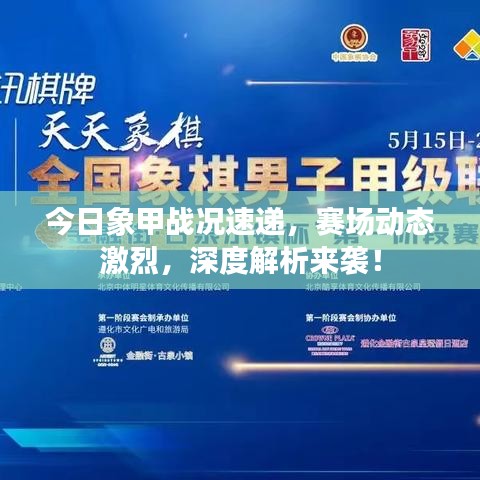 今日象甲战况速递，赛场动态激烈，深度解析来袭！
