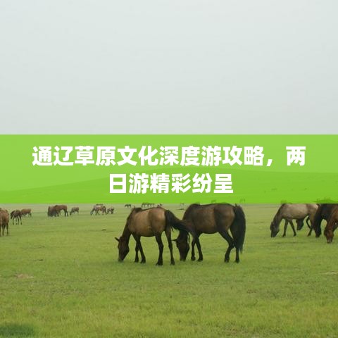 通辽草原文化深度游攻略，两日游精彩纷呈