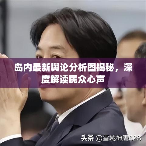 岛内最新舆论分析图揭秘，深度解读民众心声