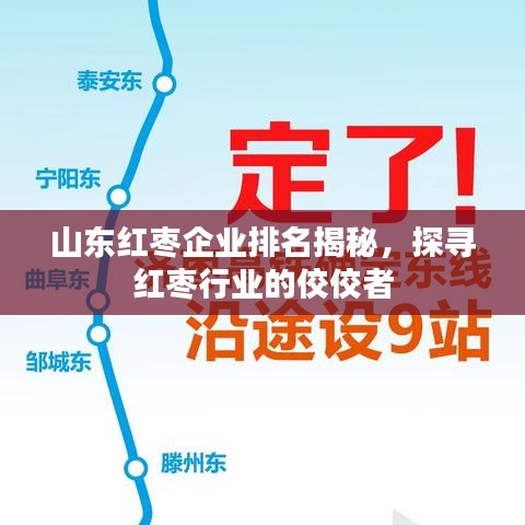 山东红枣企业排名揭秘，探寻红枣行业的佼佼者