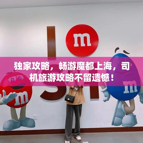 独家攻略，畅游魔都上海，司机旅游攻略不留遗憾！