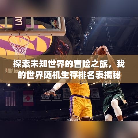 探索未知世界的冒险之旅，我的世界随机生存排名表揭秘