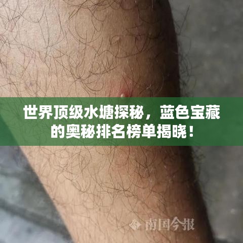 世界顶级水塘探秘，蓝色宝藏的奥秘排名榜单揭晓！