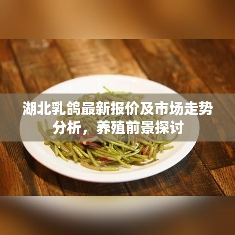 湖北乳鸽最新报价及市场走势分析，养殖前景探讨