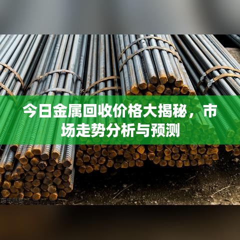 今日金属回收价格大揭秘，市场走势分析与预测