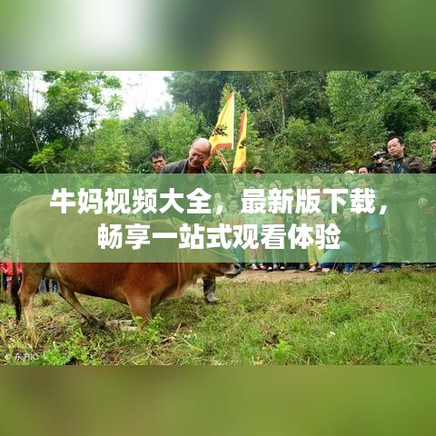 牛妈视频大全，最新版下载，畅享一站式观看体验