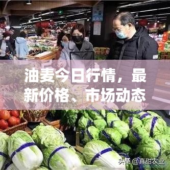 油麦今日行情，最新价格、市场动态、影响因素及未来趋势深度解析