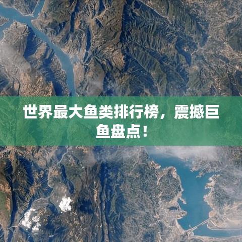 世界最大鱼类排行榜，震撼巨鱼盘点！