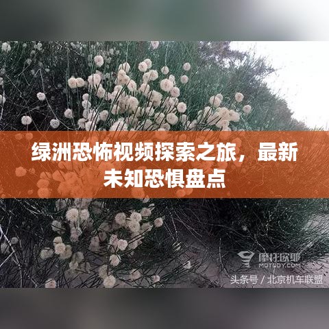 绿洲恐怖视频探索之旅，最新未知恐惧盘点