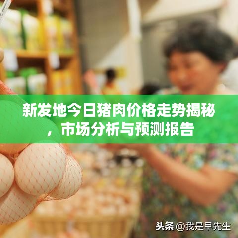 新发地今日猪肉价格走势揭秘，市场分析与预测报告