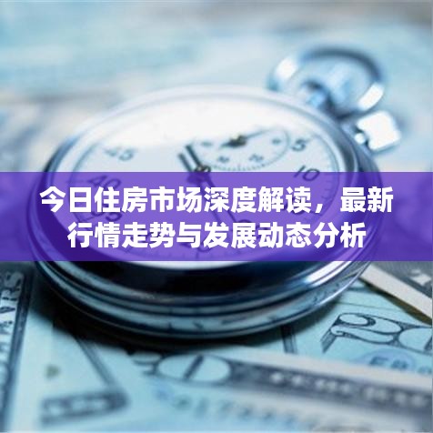 今日住房市场深度解读，最新行情走势与发展动态分析
