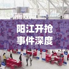 阳江开抢事件深度解析，最新视频报道揭示事件背景与影响