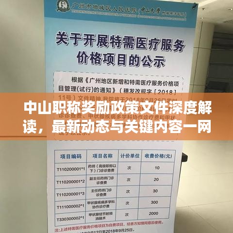 中山职称奖励政策文件深度解读，最新动态与关键内容一网打尽！