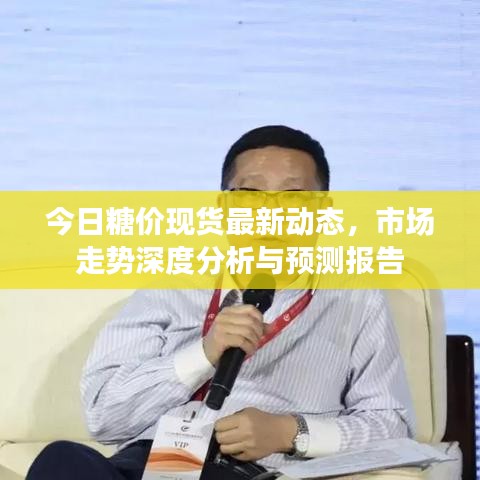 今日糖价现货最新动态，市场走势深度分析与预测报告