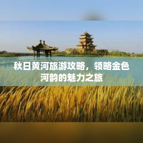 秋日黄河旅游攻略，领略金色河韵的魅力之旅