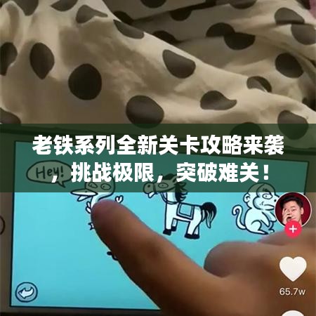 老铁系列全新关卡攻略来袭，挑战极限，突破难关！