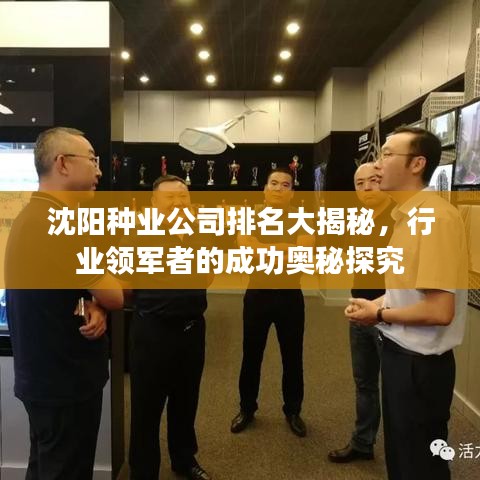 沈阳种业公司排名大揭秘，行业领军者的成功奥秘探究