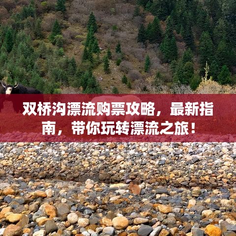 双桥沟漂流购票攻略，最新指南，带你玩转漂流之旅！