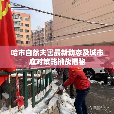 哈市自然灾害最新动态及城市应对策略挑战揭秘