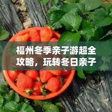 福州冬季亲子游超全攻略，玩转冬日亲子时光