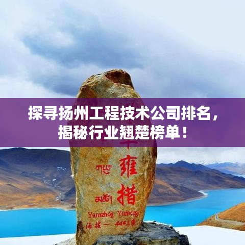 探寻扬州工程技术公司排名，揭秘行业翘楚榜单！