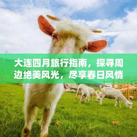大连四月旅行指南，探寻周边绝美风光，尽享春日风情体验