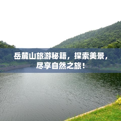 岳麓山旅游秘籍，探索美景，尽享自然之旅！