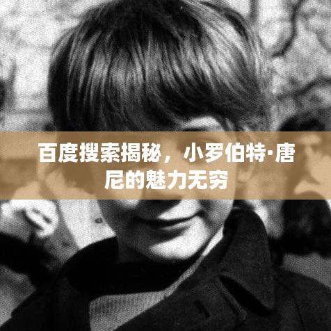 百度搜索揭秘，小罗伯特·唐尼的魅力无穷
